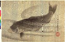 Grey carp in water - 歌川豐重（豐國二代）