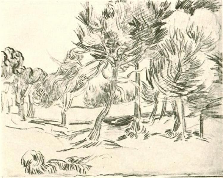 A Group of Pine Trees, 1889 - 梵谷