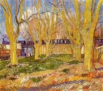 Avenue of Plane Trees near Arles Station - Vincent van Gogh