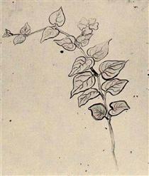 Branch with Leaves - Винсент Ван Гог