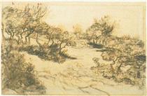 Hill with Bushes - Vincent van Gogh