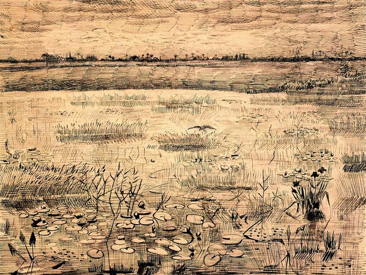 Marsh with Water Lillies, 1881 - 梵谷