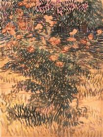 Oleanders, the Hospital Garden at Saint-Remy - Vincent van Gogh