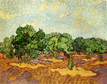 Olive Grove - Pale Blue Sky - Vincent van Gogh