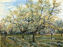 Orchard with Blossoming Plum Trees - Vincent van Gogh