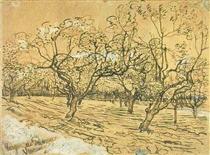 Orchard with Blossoming Plum Trees (The White Orchard) - Vincent van Gogh