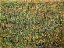 Pasture in Bloom - Винсент Ван Гог
