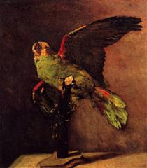 The Green Parrot - Винсент Ван Гог