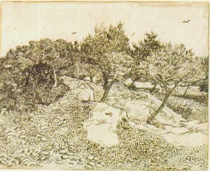 The Olive Trees, 1888 - 梵谷