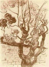 Treetop Seen against the Wall of the Asylum - Винсент Ван Гог
