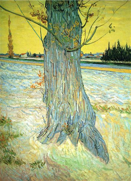 Стовбур старого дерева, 1888 - Вінсент Ван Гог