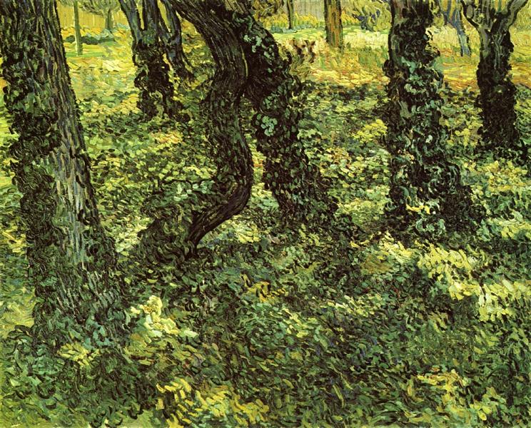 Trunks of Trees with Ivy, 1889 - 梵谷