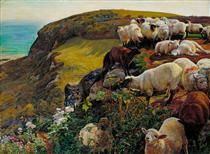 Our English Coasts - William Holman Hunt