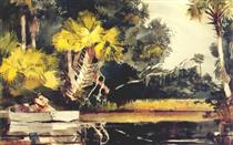 Homosassa jungle (Florida) - Winslow Homer